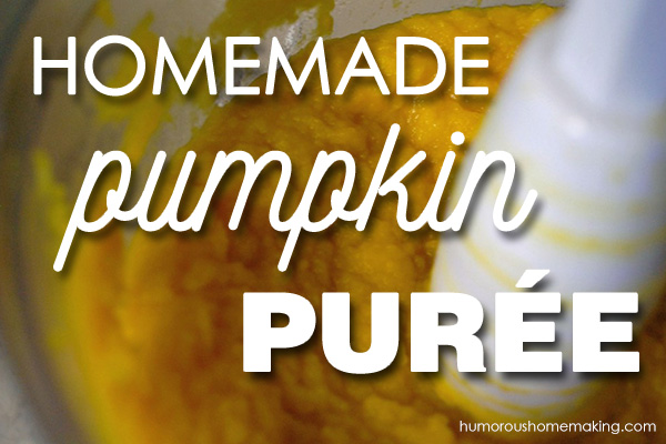 homemade pumpkin puree