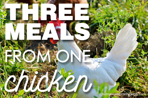 three meals from one chicken