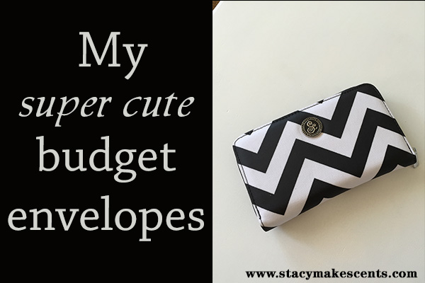 Savvy Cents budget envelopes - a cute way to carry cash!