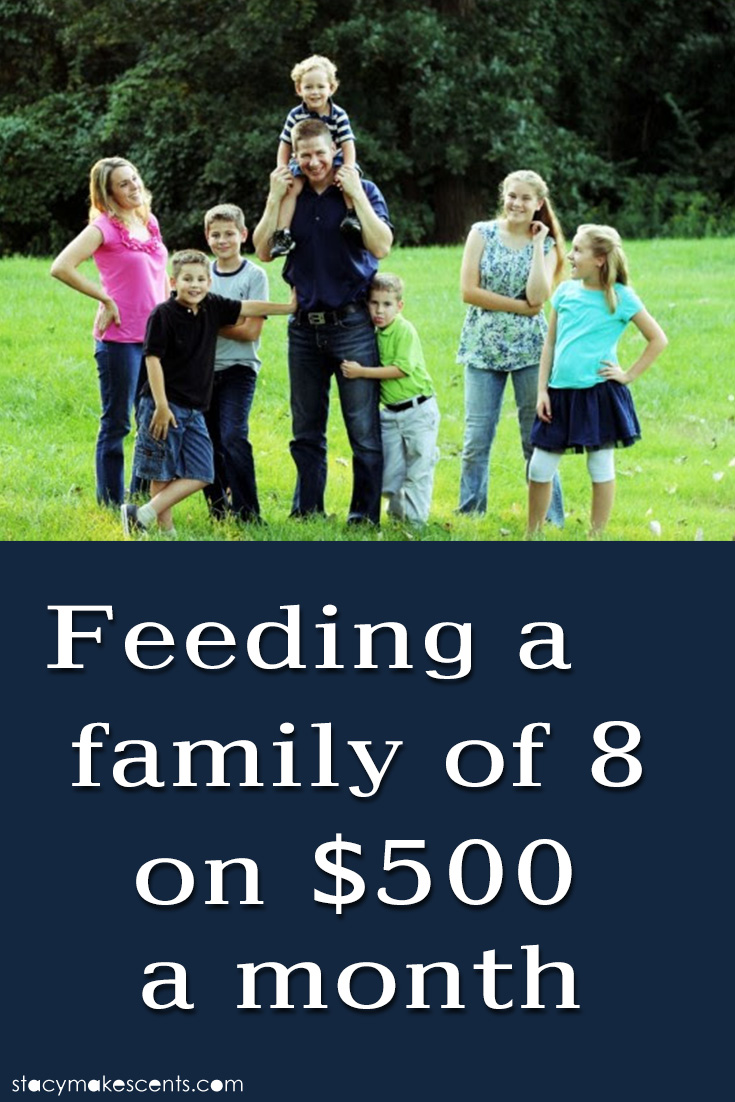 Feeding A Family Of 8 On $500 A Month Feeding A Family Of 8 On $500 A Month