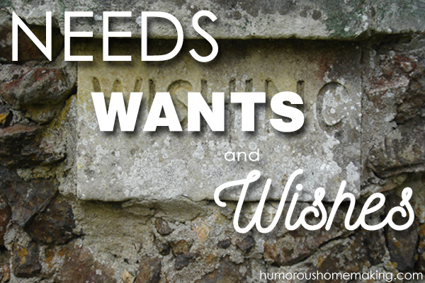 Before you can establish a budget, you have to determine your needs, wants & wishes! Nowadays these items can often get mixed up.