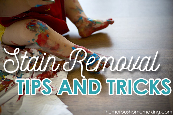 Stain Removal Tips & Tricks. Great ideas to tackle a variety of your most stubborn stains!