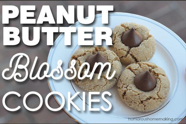 peanut butter blossom cookies