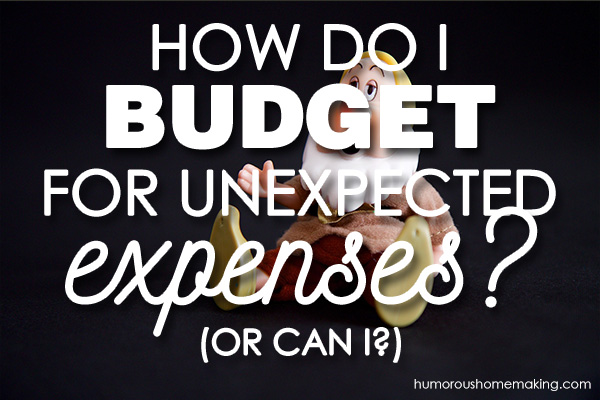 budget for unexpected expenses
