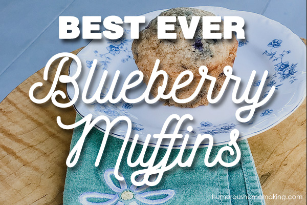best every blueberry muffin recipe