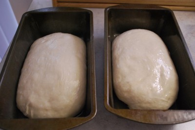 Yeast Bread #1 Light Bread