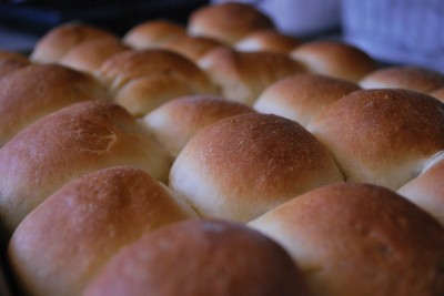 Yeast Bread Dinner Rolls
