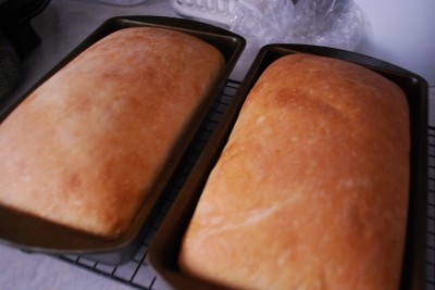 Yeast Bread #1 Light Bread