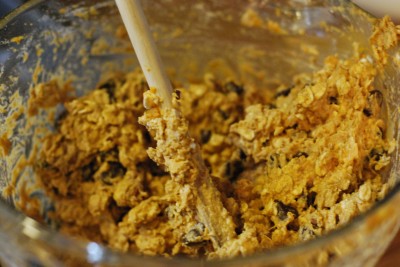 Pumpkin Spice Granola Bars