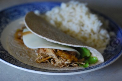 From Bowl to Freezer – Good Freezer Meal Options