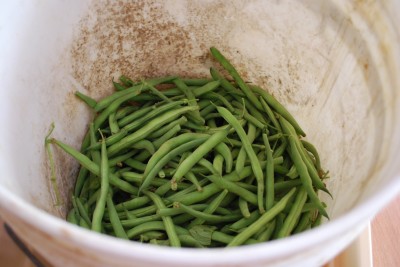 Roasted Green Beans