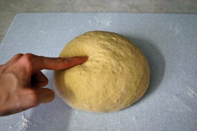 Yeast Bread Dinner Rolls