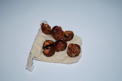 Soap Nuts – A Natural, Frugal Laundry Detergent Soap Nuts after laundering