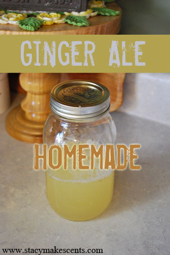 Homemade Ginger Ale - Humorous Homemaking