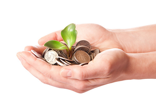 Making Something from Nothing money sprouting plant